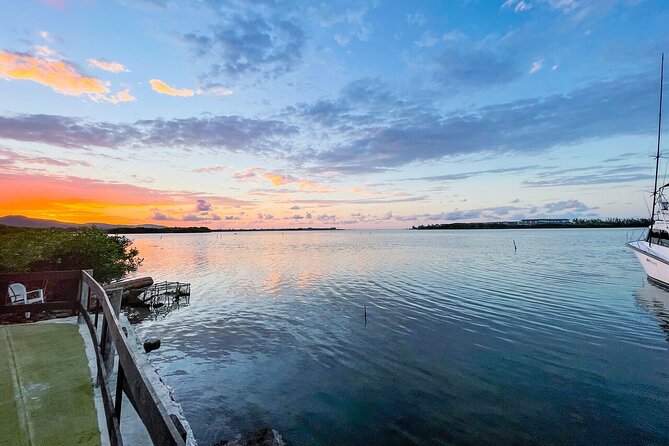 Montego Bay Local Experience & Beach from Cruise Ships - Who should choose this outing