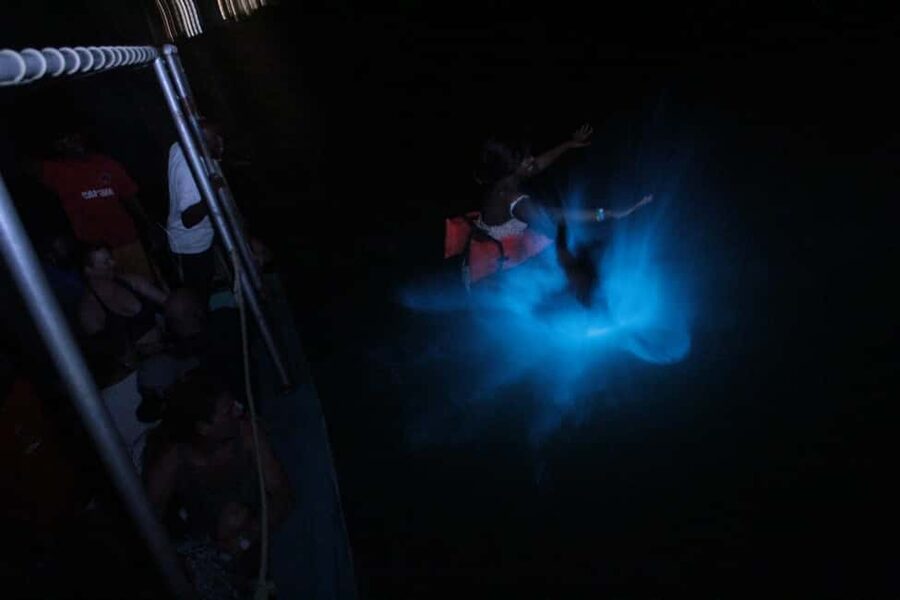 Montego Bay: Luminous Lagoon Evening Boat Tour - Why the Luminous Lagoon glows after dark