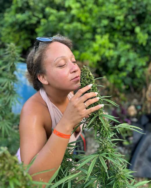 Montego Bay: Marijuana Farm and Bird Sanctuary Tour - At the marijuana nursery: touch, smell, and ask questions