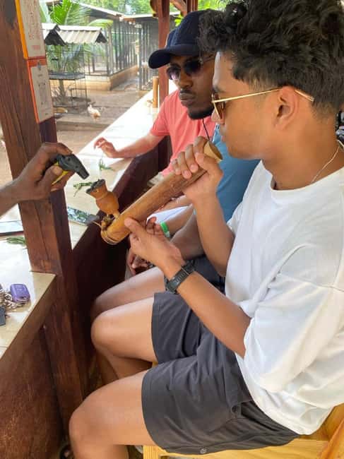 Montego Bay: Marijuana Farm and Bird Sanctuary Tour - A short tour means a tight schedule
