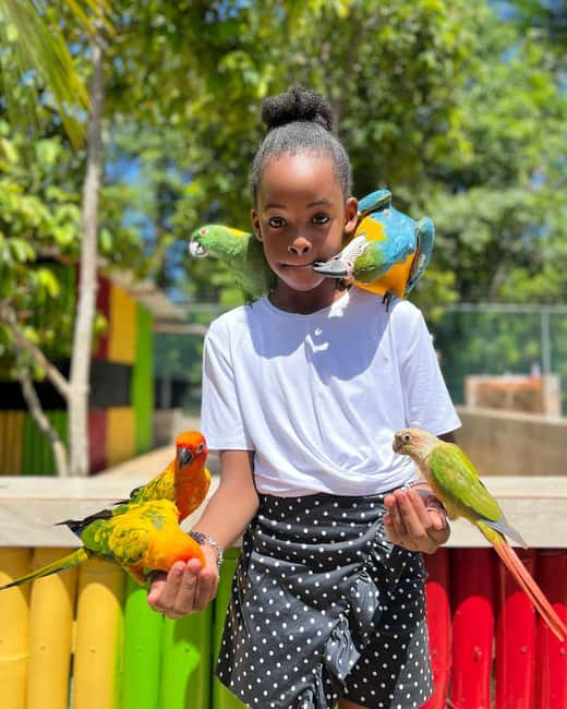 Montego Bay: Marijuana Farm and Bird Sanctuary Tour - What the $87 price really buys you