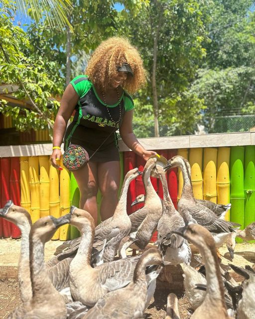 Montego Bay: Marijuana Farm and Bird Sanctuary Tour - Food stops and small practical details
