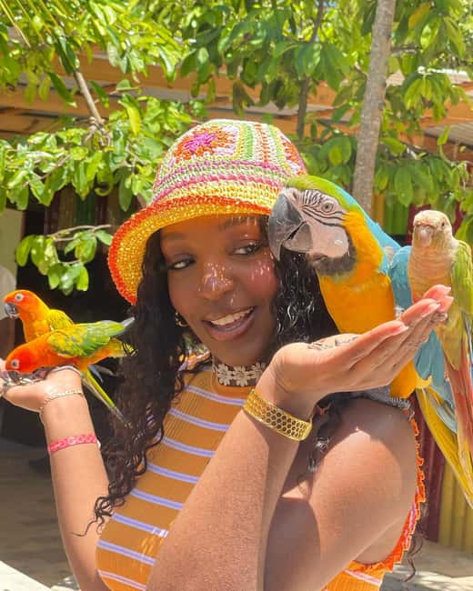 Montego Bay: Marijuana Farm and Bird Sanctuary Tour - Booking advice before you leave Montego Bay