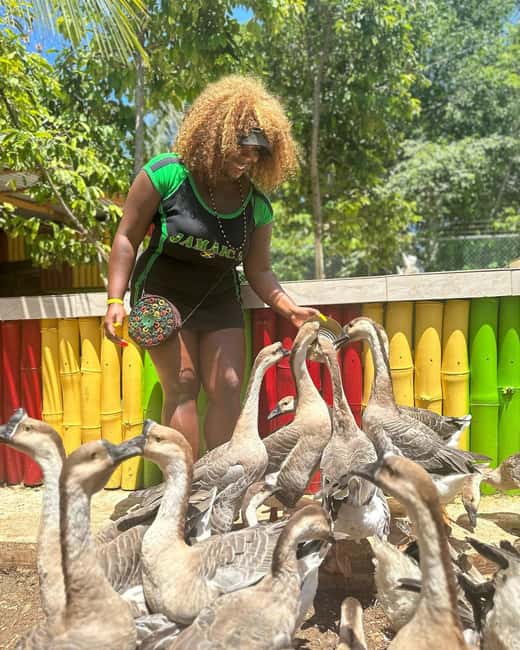 Montego Bay: Marijuana Farm and Bird Sanctuary Tour - Should you book the marijuana farm and bird sanctuary tour?