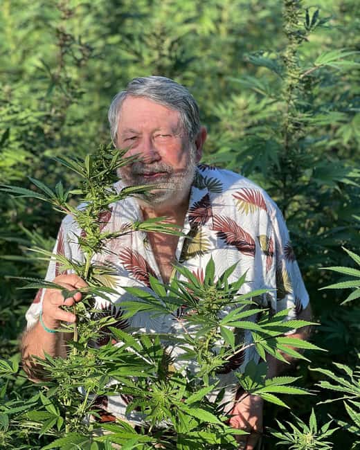 Montego Bay: Marijuana Farm Private Tour with Transportation - Key points to know before you book