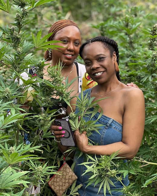 Montego Bay: Marijuana Farm Private Tour with Transportation - Who will enjoy this experience most?