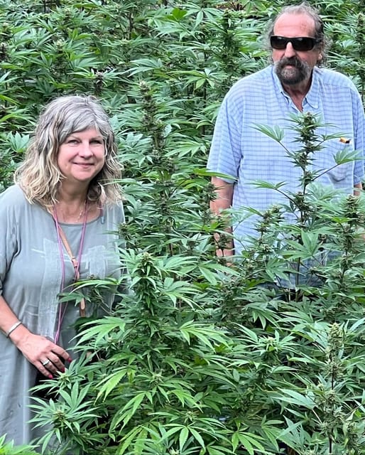 Montego Bay: Marijuana Farm Private Tour with Transportation - Is $133 per person fair value?