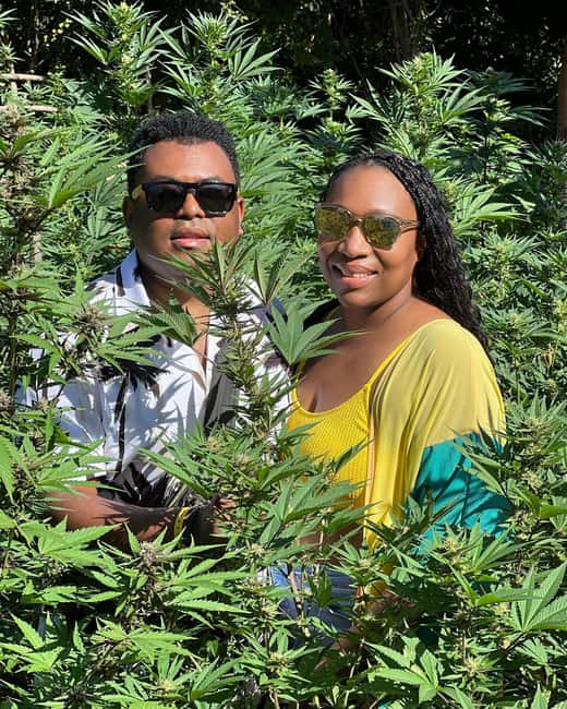 Montego Bay Marijuana Farm Tour - Booking details worth checking