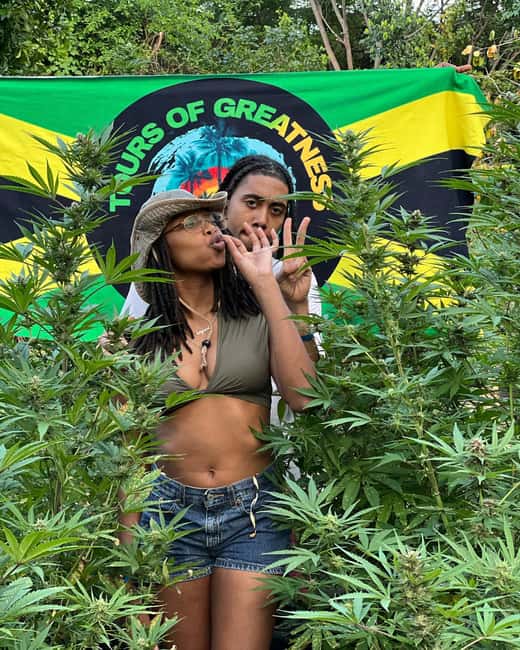 Montego Bay Marijuana Farm Tour - Rastafari culture and the wider meaning of ganja