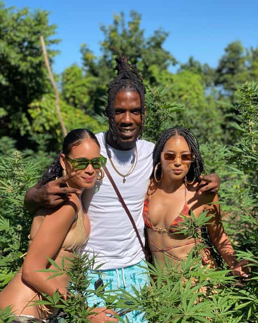 Montego Bay Marijuana Farm Tour - What the one to two hours really includes