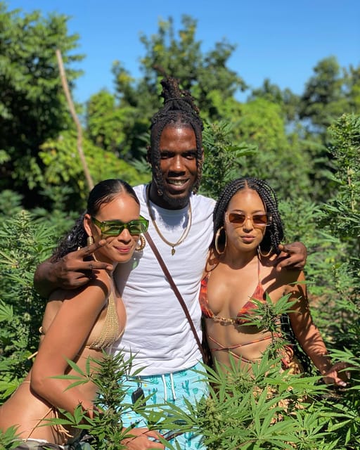 Montego Bay Marijuana Farm Tour - Is $140 a fair price?