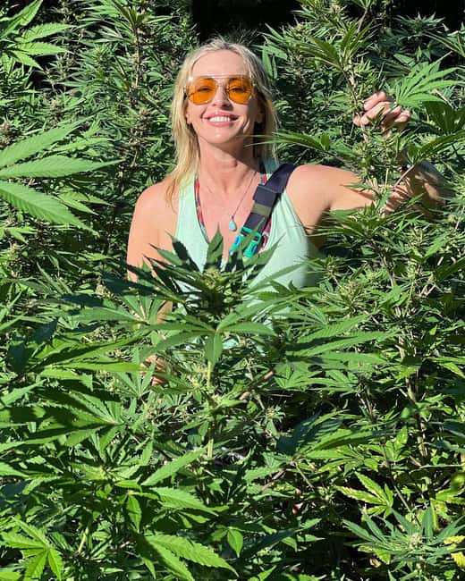 Montego Bay Marijuana Farm Tour - Who will enjoy this Montego Bay farm visit?