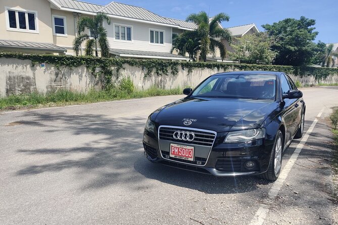 Montego Bay Private Airport Transfer - Who will like this transfer most