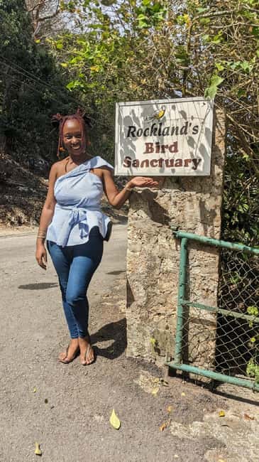 Montego Bay: Private Rocklands Bird Sanctuary Trip - Why Rocklands is worth leaving Montego Bay