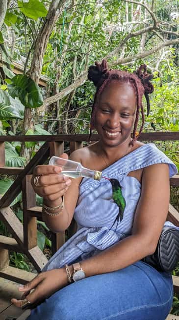 Montego Bay: Private Rocklands Bird Sanctuary Trip - What the $94 price really covers