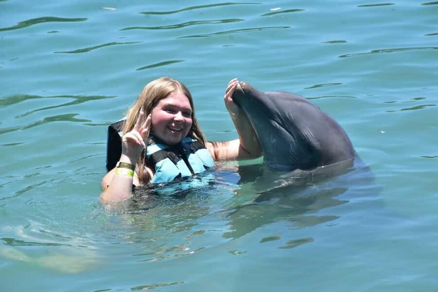 Montego Bay: Swim With The Dolphins Adventure in Lucea - Meeting dolphins near Lucea