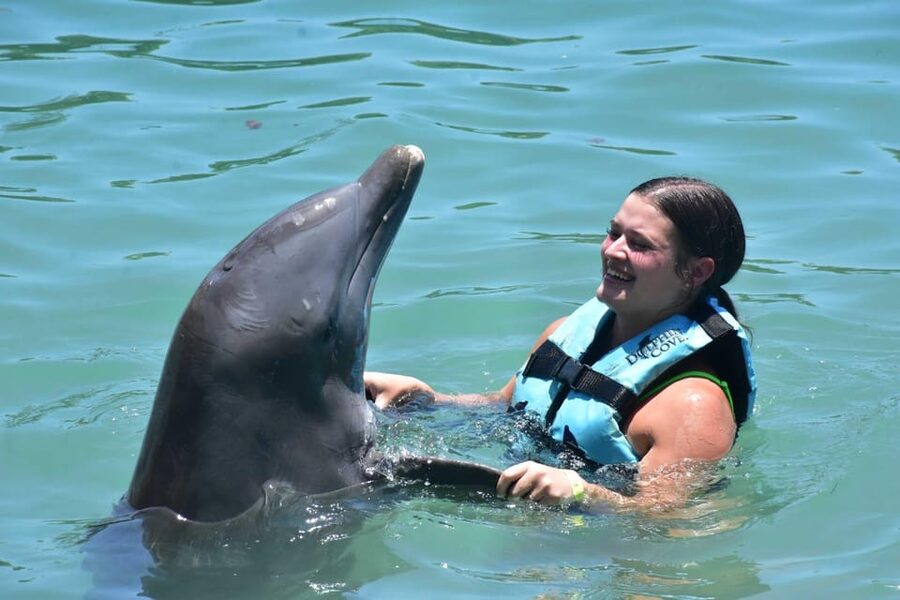 Montego Bay: Swim With The Dolphins Adventure in Lucea - The Hip Strip shopping stops
