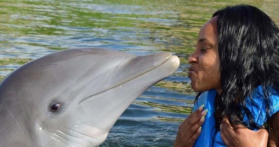 Montego Bay: Swim With The Dolphins Adventure in Lucea - Encounter or swim: choosing the right option