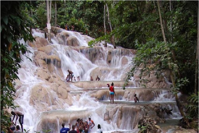 Montego Bay to Dunn's River Falls Half-Day Trip - Key points to know before booking