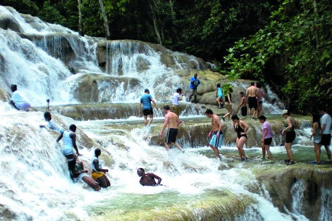 Montego Bay to Dunn's River Falls Half-Day Trip - What the waterfall climb feels like