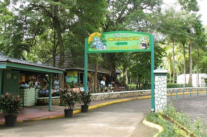 Montego Bay to Dunn's River Falls Half-Day Trip - Swimming, photos, and the practical locker question