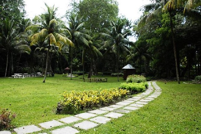 Montego Bay to Dunn's River Falls Half-Day Trip - The craft market and extra stops