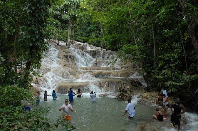 Montego Bay tour: Dunn's River Falls - Should You Book the Dunn’s River Tour?