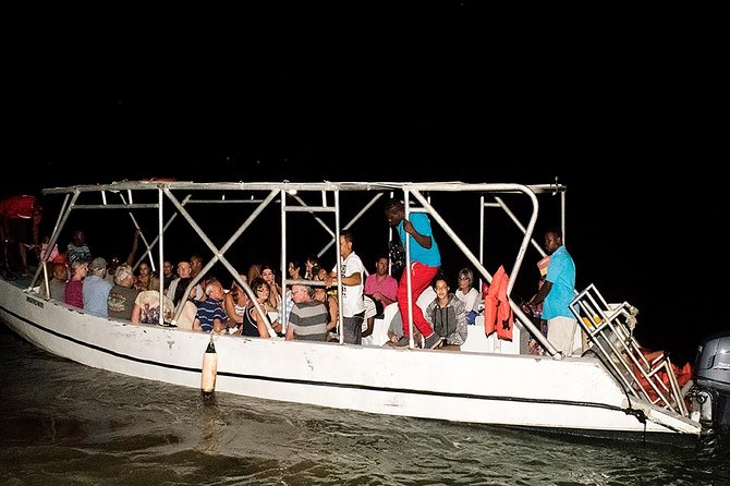 Mystic Lagoon Guided Boat Ride and Swim - Why Mystic Lagoon is worth seeing at night