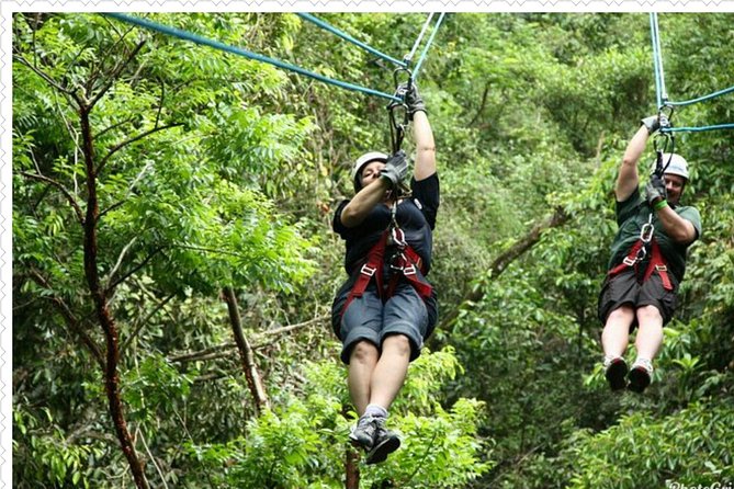 Mystic Mountain Tour from Montego Bay - Chair lift views without a long hike