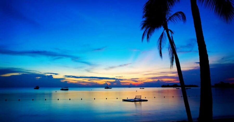 Negril 7-Hour Tour from Montego Bay - Jamaican jerk chicken and local dishes