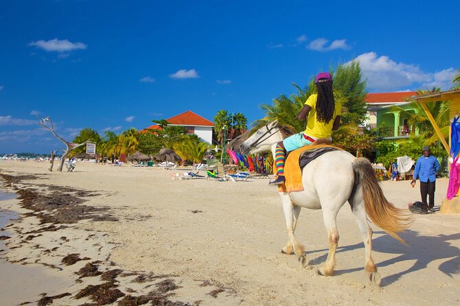 Negril 7 Mile Beach and Rick's Cafe Tour From Montego Bay Jamaica - What private transport adds to the price
