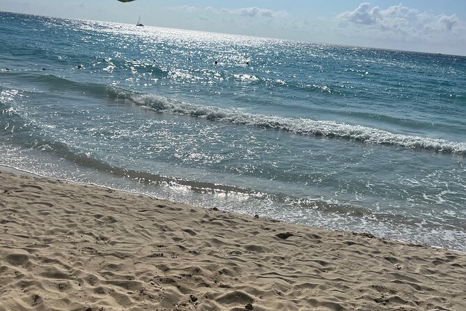Negril 7 Mile Beach and Ricks Cafe Tour - A guide-led day with room for local stops