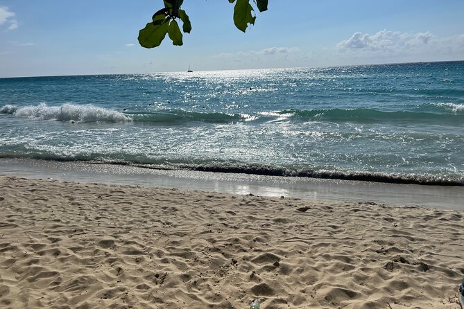 Negril 7 Mile Beach and Ricks Cafe Tour - Practical planning for a smoother day