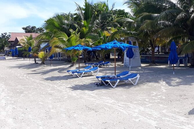 Negril 7 Miles Beach and Rick's Cafe Tour - From Montego Bay to Negril in a Private Vehicle