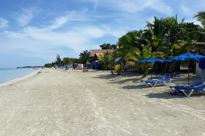 Negril 7 Miles Beach and Rick's Cafe Tour - Practical Ways to Plan the Day