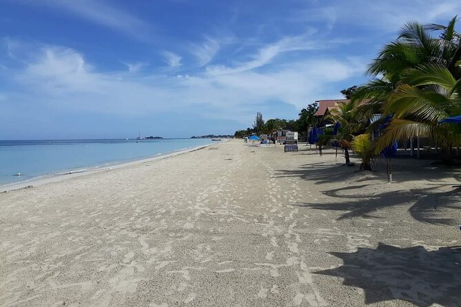 Negril 7 Miles Beach and Rick's Cafe Tour - Should You Book the Negril 7 Mile Beach and Rick’s Café Tour?