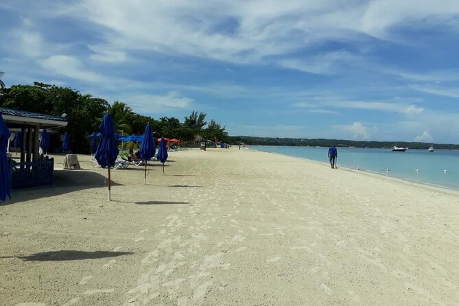 Negril 7 Miles Beach and Rick's Cafe Tour - Why the Private Format Matters at $131