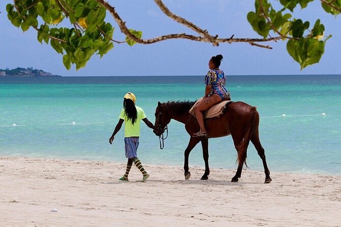 Negril Beach & Rick's Cafe Tour - The value of a private half-day trip