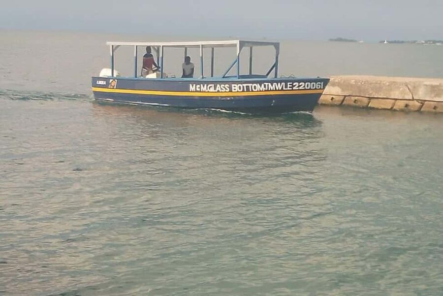 Negril: Booby Cay Island Picnic Tour with Snorkeling - Key points to know before you book