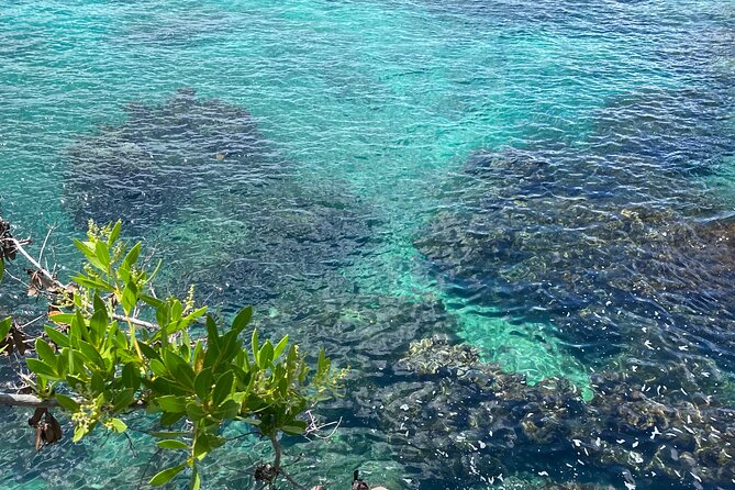 Negril day! beach and west end Cliffs with French Guide - Rick’s Café, a famous stop with a lively setting