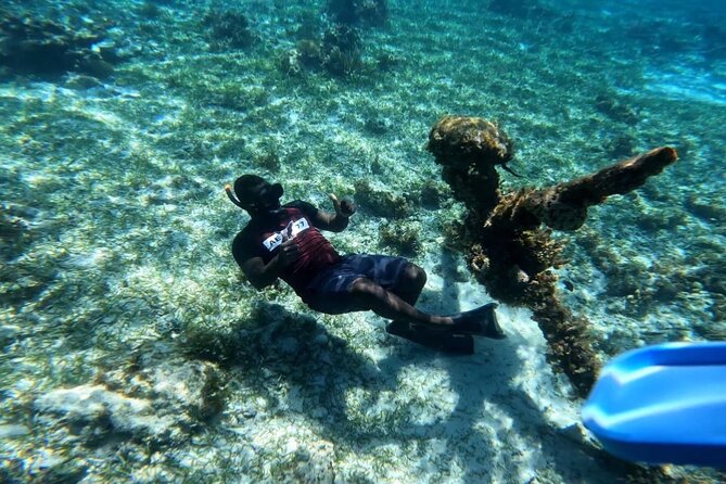 Negril Glass Bottom Boat Tour Snorkeling and Booby Cay - Key points at a glance