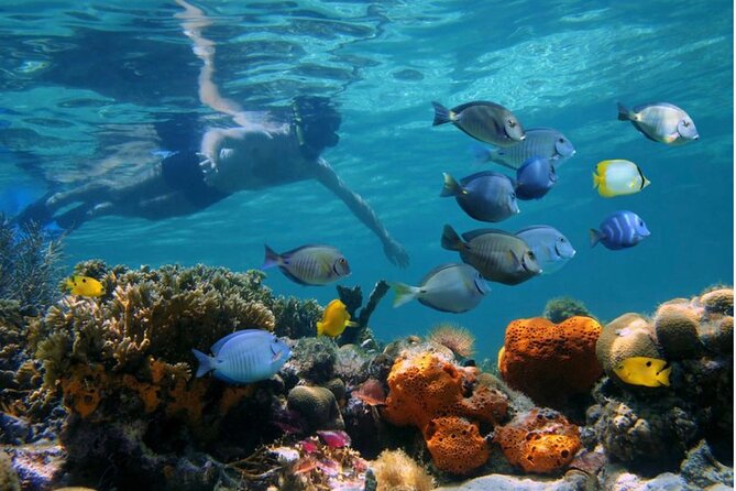Negril Glass Bottom Boat Tour Snorkeling and Booby Cay - A simple morning on Negril’s water