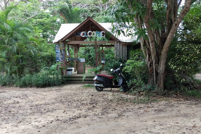 Negril Private and Public Beach with Ricks Cafe from Montego Bay - Two hours at Rick’s Cafe