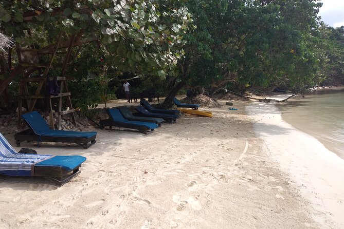 Negril Private and Public Beach with Ricks Cafe from Montego Bay - The vehicle, pickup, and private format