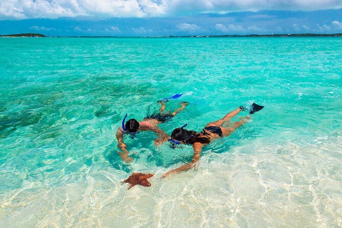 Negril Seven Miles Beach, Snorkeling, Boat Ride, Ricks Cafe Combo - Key points to know before booking