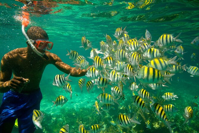 Negril Seven Miles Beach, Snorkeling, Boat Ride, Ricks Cafe Combo - Margaritaville and extra beach time