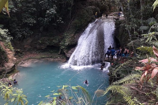 Ocho Rios Blue Hole and Dunn's River Falls Tour - Dunn’s River Falls: a guided climb, not a casual stroll