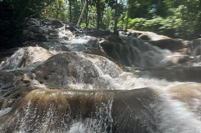Ocho Rios Blue Hole and Dunn's River Falls Tour - Who will enjoy this tour most