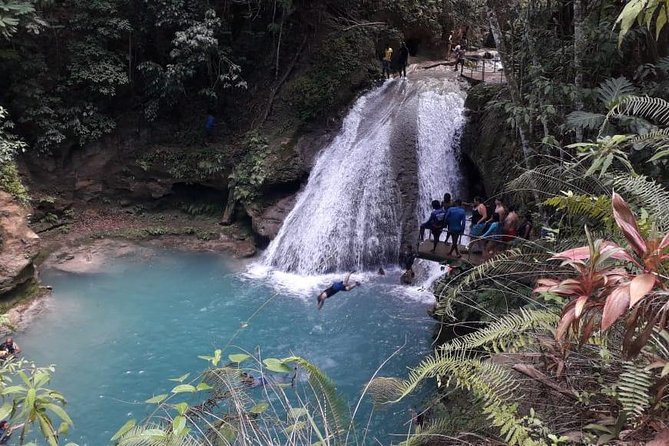 Ocho Rios Blue Hole and Dunn's River Falls Tour - The Blue Hole: cool water and optional thrills