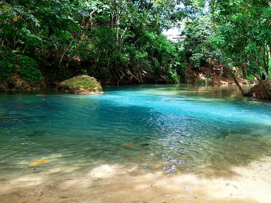 Ocho Rios: Blue Hole, Dunn’s River & Reggae Hill Guided Tour - Who will enjoy this tour most